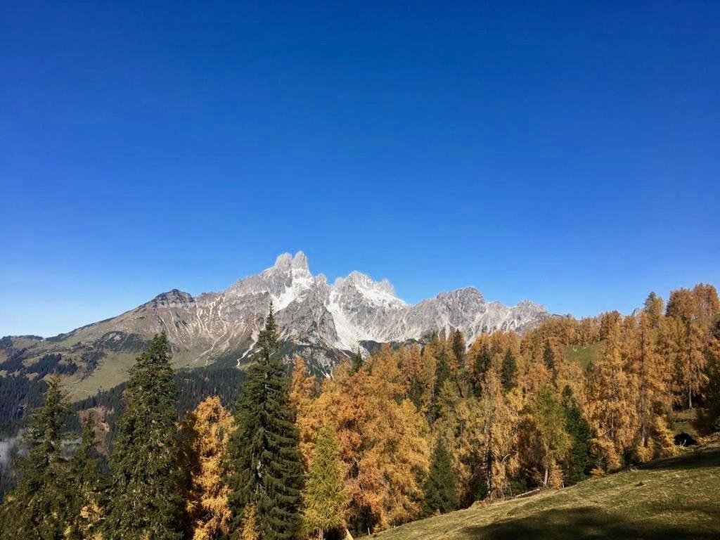 Appartementhaus Reiter Altenmarkt im Pongau Exteriér fotografie